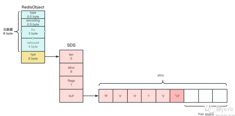 image-20240624113232354