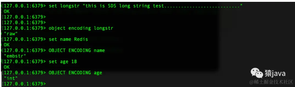 image-20240624113411220